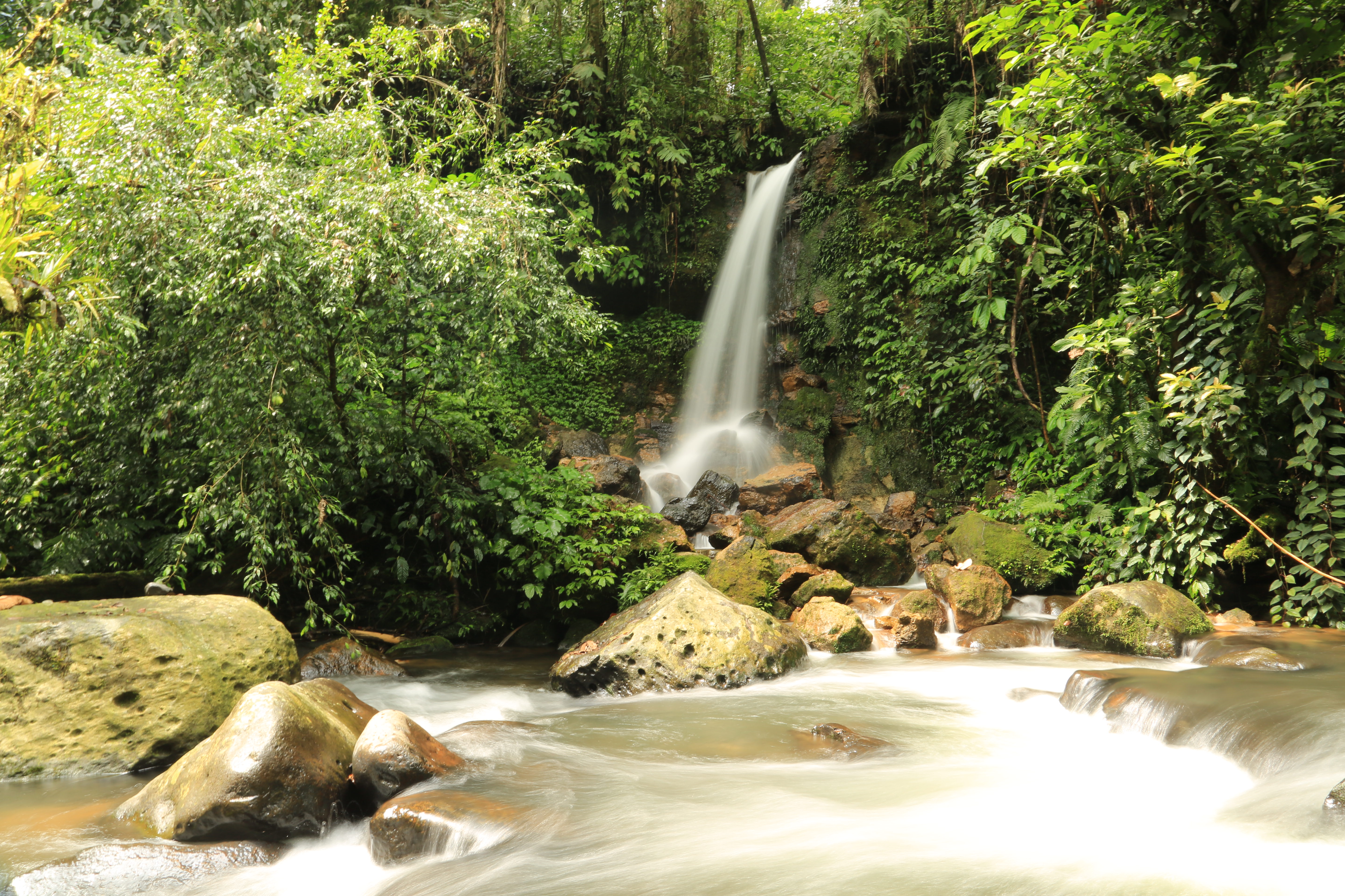 Curug Cimacan (RPTNW Cikaniki, SPTNW II Bogor)